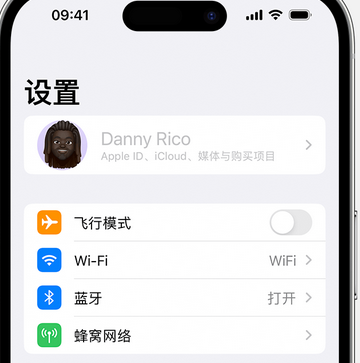 马鞍山appleID维修服务iPhone设置中Apple ID显示为灰色无法使用