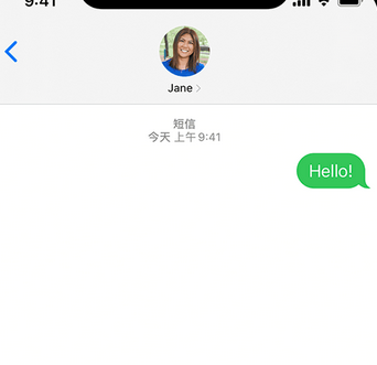 马鞍山apple维修iPhone上无法正常发送iMessage信息