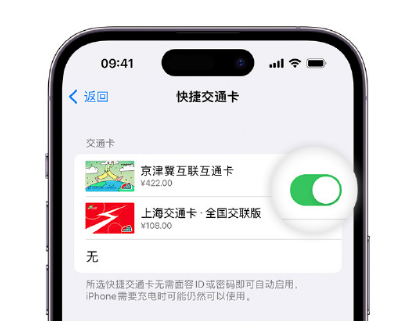 马鞍山apple维修点分享iPhone上更换Apple Pay快捷交通卡手绘卡面 