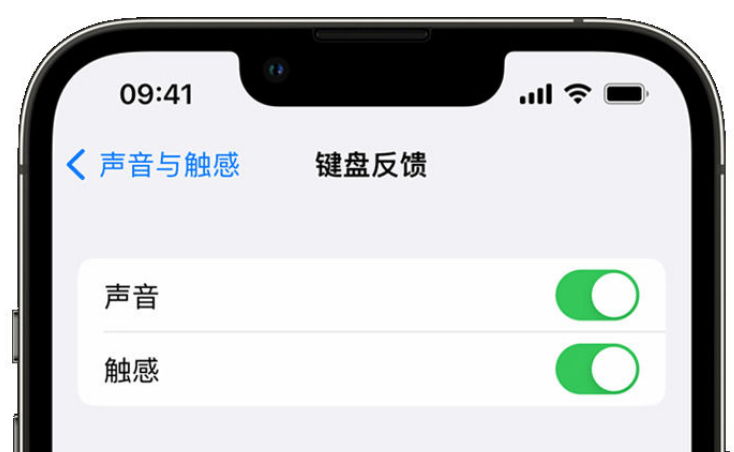 马鞍山苹果手机维修分享iPhone 14触感键盘使用方法 