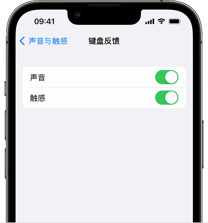 马鞍山苹果14维修店分享如何在 iPhone 14 机型中使用触感键盘 