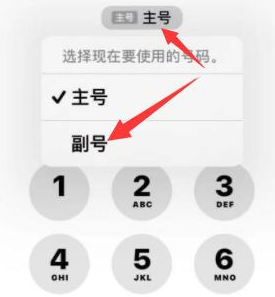 马鞍山苹果14维修店分享iPhone 14 Pro Max使用副卡打电话的方法 