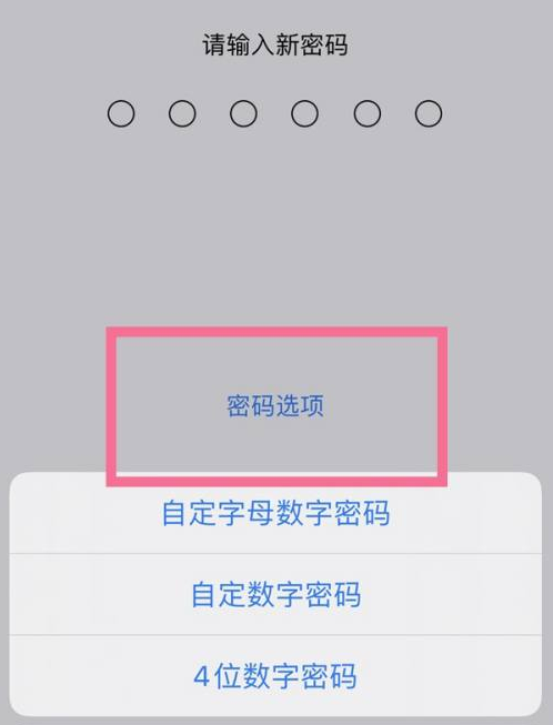 马鞍山苹果14维修分享iPhone 14plus设置密码的方法 