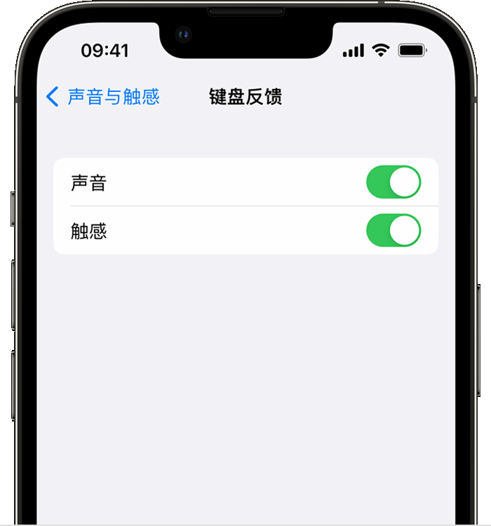 马鞍山苹果14维修分享iPhone 14 系列机型如何开启键盘声音或触感反馈 