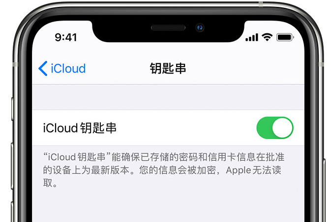 马鞍山苹果手机维修分享在 iPhone 上开启 iCloud 钥匙串之后会储存哪些信息 