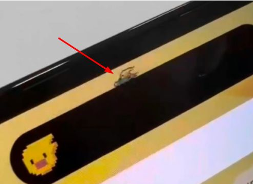 马鞍山苹果14维修分享iPhone 14 Pro Max灵动岛怎么养宠物 