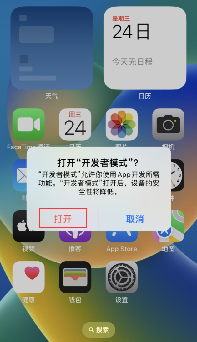 马鞍山苹果手机维修分享如何打开开发者模式 