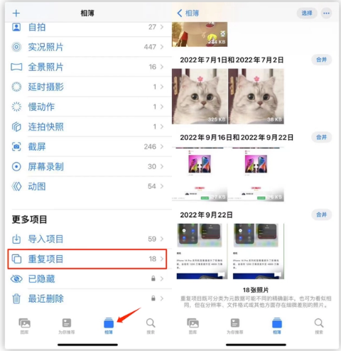 马鞍山苹果手机维修分享iOS 16 中相册重复项目功能使用方法 