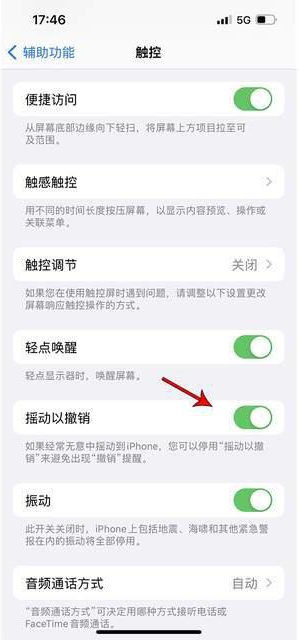 马鞍山苹果手机维修分享iPhone手机如何设置摇一摇删除文字 