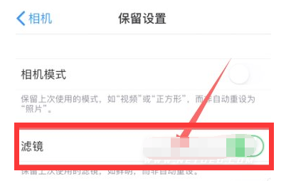 马鞍山苹果13维修分享iPhone13拍照有绿点是怎么回事 