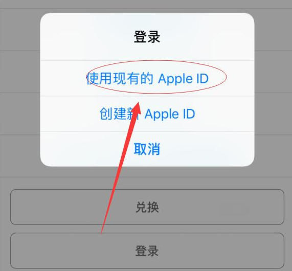马鞍山苹果手机维修分享两台iPhone设备可以同时登录一个Apple ID吗 