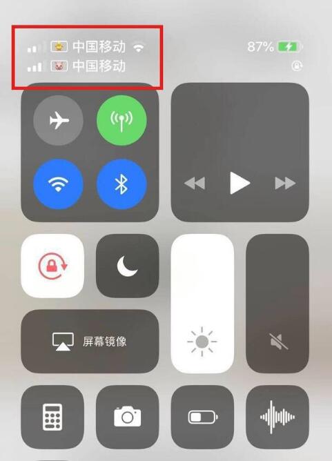 马鞍山苹果手机维修分享为 iPhone 12 双卡设置标签 