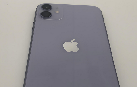 马鞍山苹果11系统维修分享iPhone11手机系统崩溃无法开机如何解决 